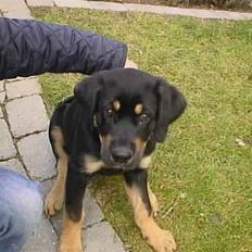 Blanding af racer Lunte <'3 R.I.P.