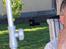Labrador retriever Rex