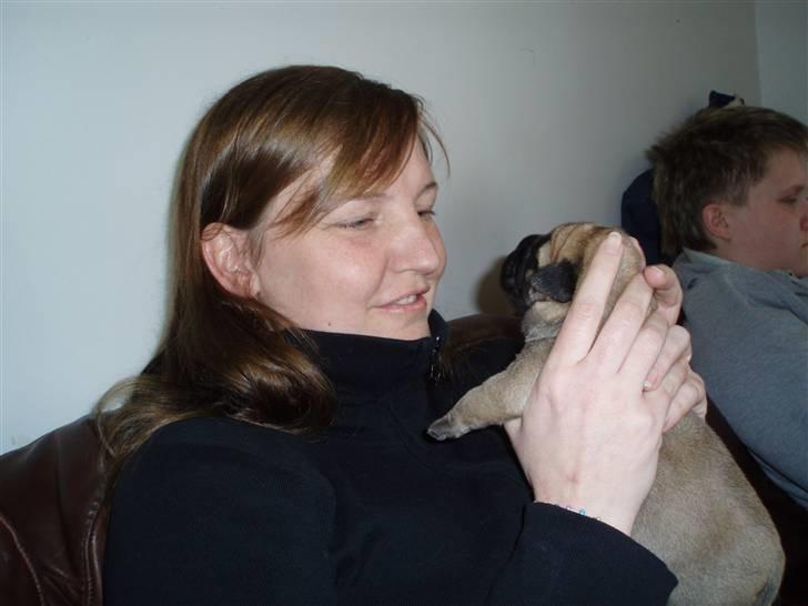 Bullmastiff Vega - Vega 5 dage gammel med sin "mor" billede 2