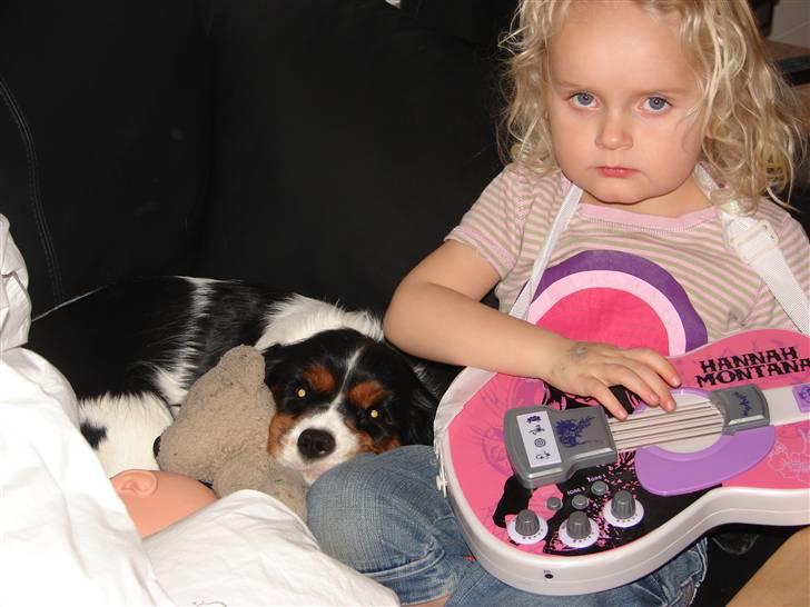 Cavalier king charles spaniel Lady - Caroline og Lady som hygger i sofaen. Januar 2009 billede 13