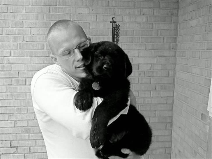 Blanding af racer Ashlan - Dagen hvor vi fik vores guldklump billede 7