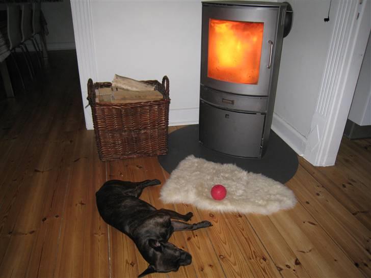 Blanding af racer Nala - Her er Nalas ynglings plads.... billede 10