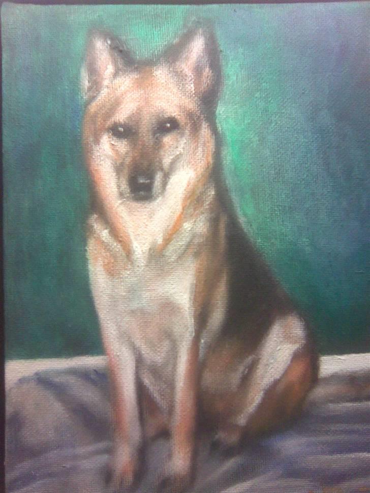 Blanding af racer maxi (R.I.P.) billede 17