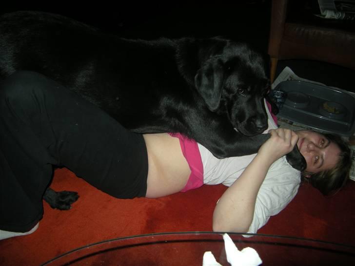 Labrador retriever Max <3 Himmelhund - Mig og Max :) billede 6