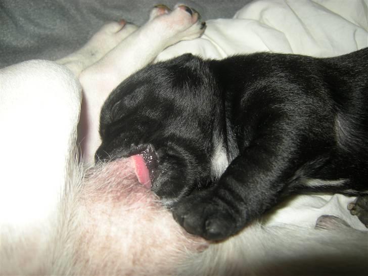 Blanding af racer Mario - Dejlig mælk du har mor (^^,) billede 2