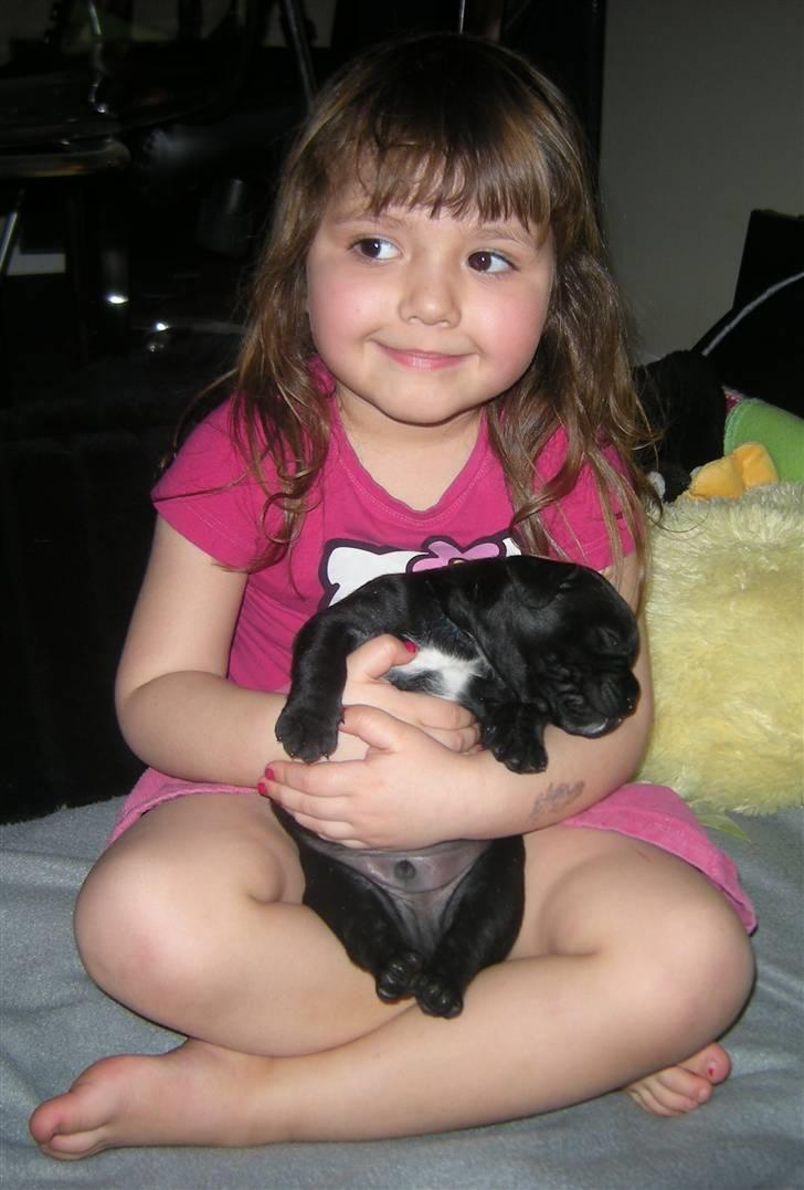 Blanding af racer Mario - Naboens pige Jasmin, der sidder med Mario :) billede 4