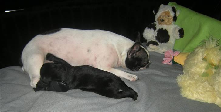 Blanding af racer Mario - Jeg er næsten lige så lang som mor, når jeg strækker mig helt (^^,) billede 6