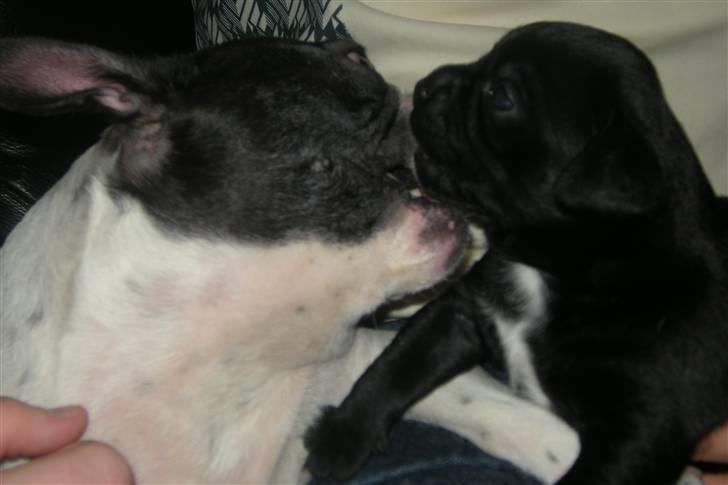 Blanding af racer Mario - Elsker at lege med min mor :) Hun er den sødeste i hele verden <3 billede 8