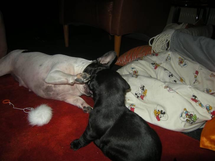 Blanding af racer Mario - Lidt mere leg :) billede 14