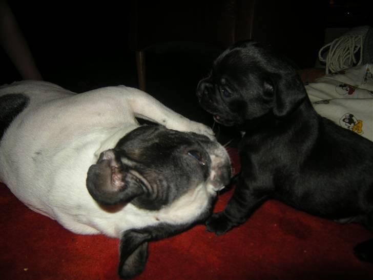 Blanding af racer Mario - Mig og mor som hygger :) billede 15