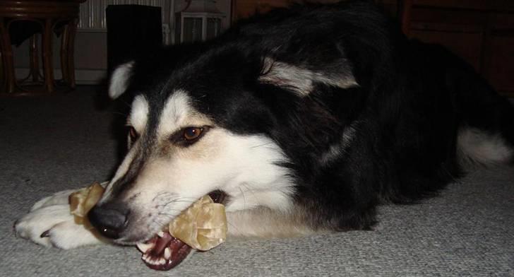 Blanding af racer Loco billede 6