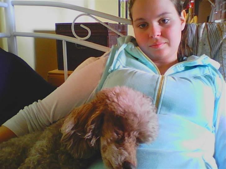 Mellempuddel Bamse R.I.P 10-03-11 - Se ham lige, er han ikk nuttet? billede 11