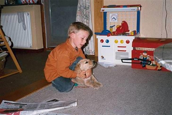 Blanding af racer Max - Her har I mig, lige ankommet til min nye familie, der var en lille dreng der blev glad billede 20