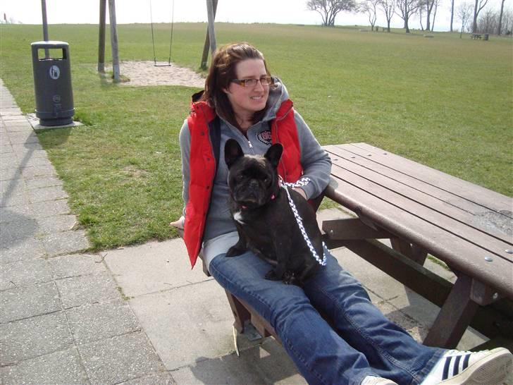 Fransk bulldog Black Magic Kinibox[Nina] billede 5