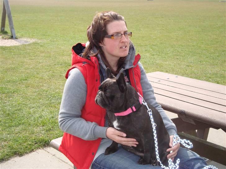 Fransk bulldog Black Magic Kinibox[Nina] billede 16