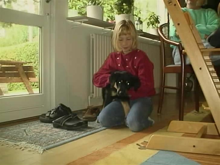 Blanding af racer Lunte <'3 R.I.P. - 2# "Hvem gider blive kælet, når man skal udforske et nyt hus ?" (Foto; Far) billede 2