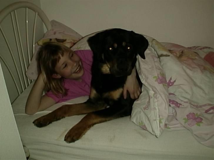 Blanding af racer Lunte <'3 R.I.P. - 17# "Godnat, og tak fordi du gad kigge forbi" (Foto; Far) billede 17