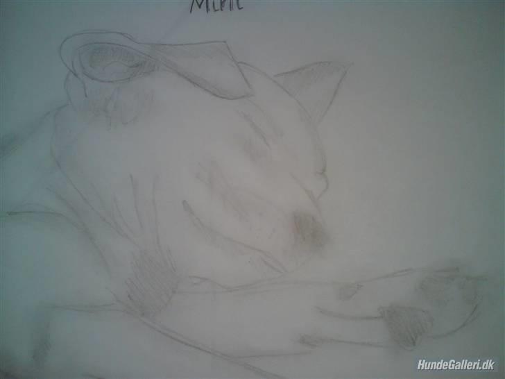 Blanding af racer Mini - mini er blevet tegnet :) billede 10