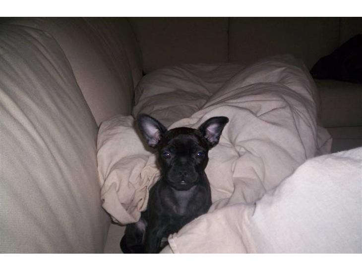 {{currentPhoto.altText}} billede {{currentPhoto.number}}