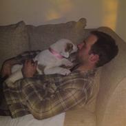 Central asiatisk Ovcharka Mille RIP Du er savnet mi