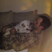 Central asiatisk Ovcharka Mille RIP Du er savnet mi