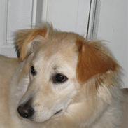 Blanding af racer Blondie <3