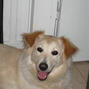 Blanding af racer Blondie <3