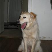 Blanding af racer Blondie <3