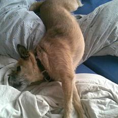 Blanding af racer arthur