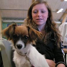 Phalene bella  *Chéri*