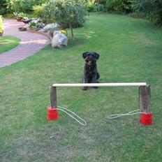 Blanding af racer Sorte<3