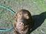 Labrador retriever kenzo<3 R.I.P min prins ;'( - nurh han er bare dejlig!! <33 