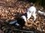 Field Trial spaniel Trille Lund