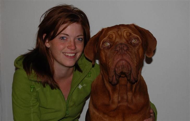 Dogue de bordeaux Deezel R.I.P billede 16