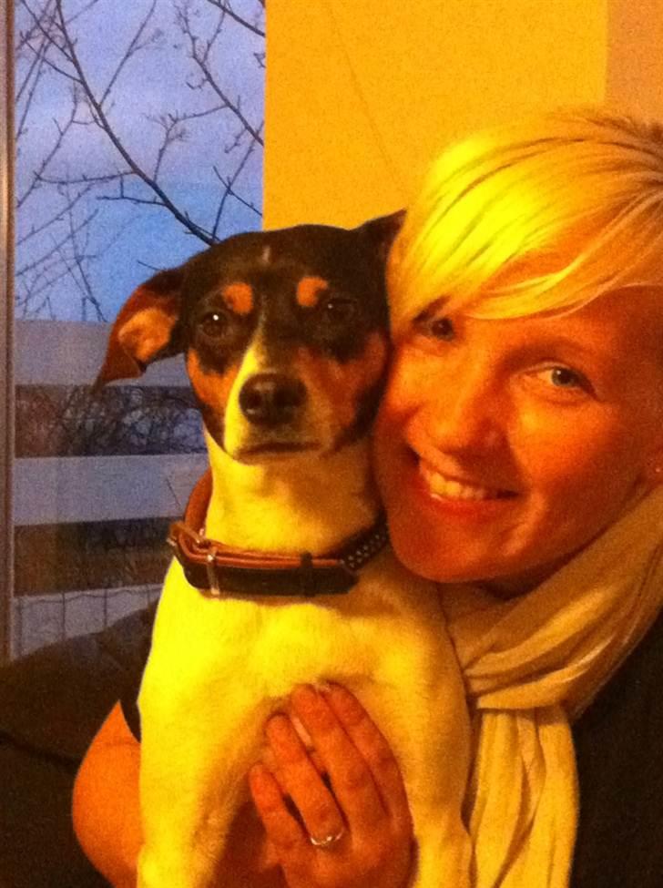 Dansk svensk gaardhund Futte - Som venner vi dele så tager jeg det hele :) hihi billede 16