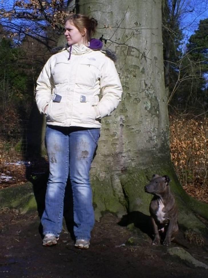 Blanding af racer Hudi(ni)/ er flyttet - Mor og hudi billede 9