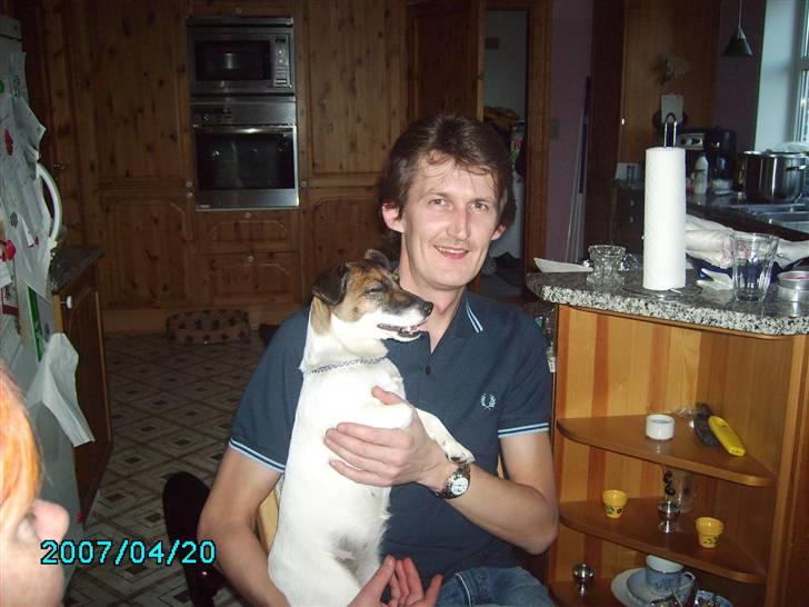 Jack russell terrier Sophie billede 5