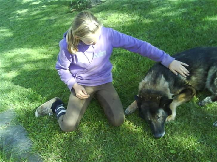 Schæferhund Vaks - Mig og Vaks. billede 3