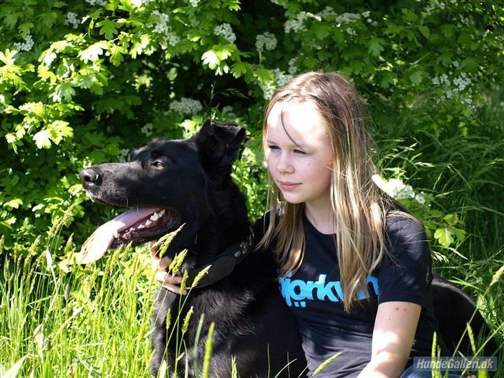 Blanding af racer Keiko R.I.P - fordi vi er perfekte sammen billede 5