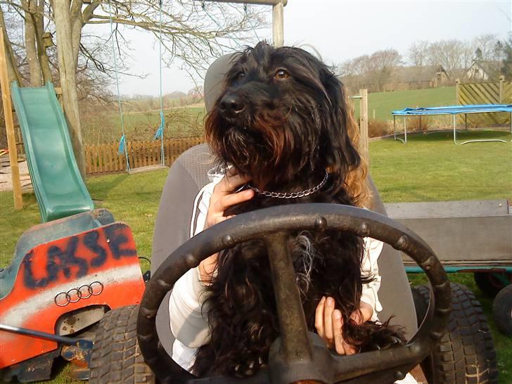 Blanding af racer Nunu - wraan wraan ud at køre med de skøre!! :P altså, line :P juhuu billede 9