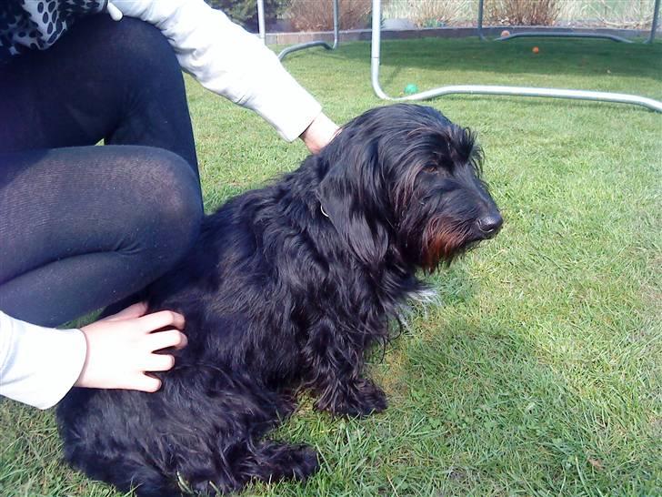 Blanding af racer Nunu - ååårh lige der lige der!! elsker bare når hun gør det :D billede 10