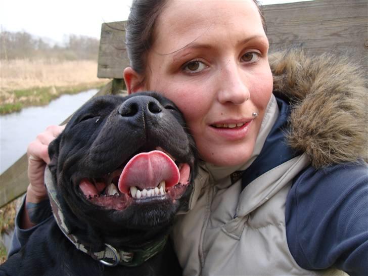Staffordshire bull terrier All-Embracing "Sille" - Mig og mor. billede 8