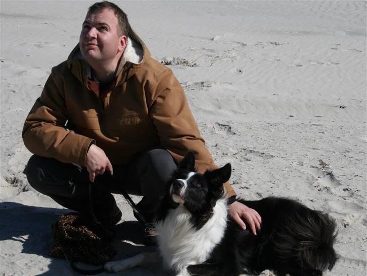 Border collie Luske (tidligere Lucca) billede 4