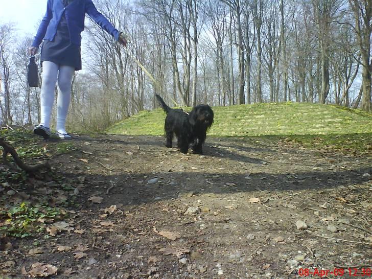 Blanding af racer Nunu - så går turen hjemad, surt. håber vi kan komme herned i morgen også :) billede 17