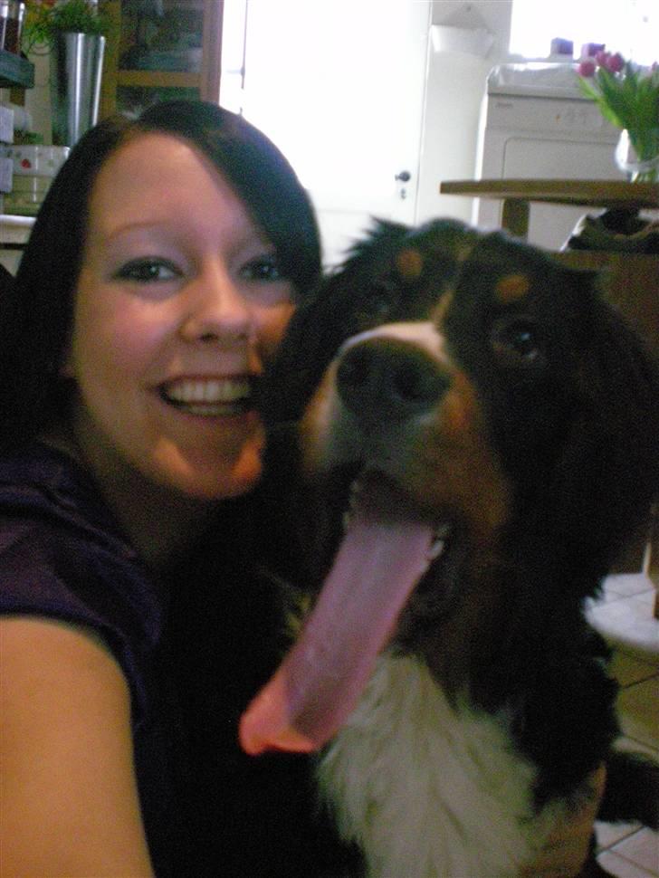 Berner sennenhund Carlo Falk - Marts 2009 - ægte kærlighed :-) billede 16