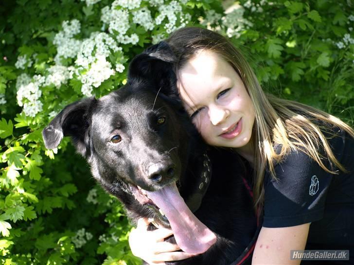 Blanding af racer Keiko R.I.P - fordi Jeg Elsker diqq billede 6