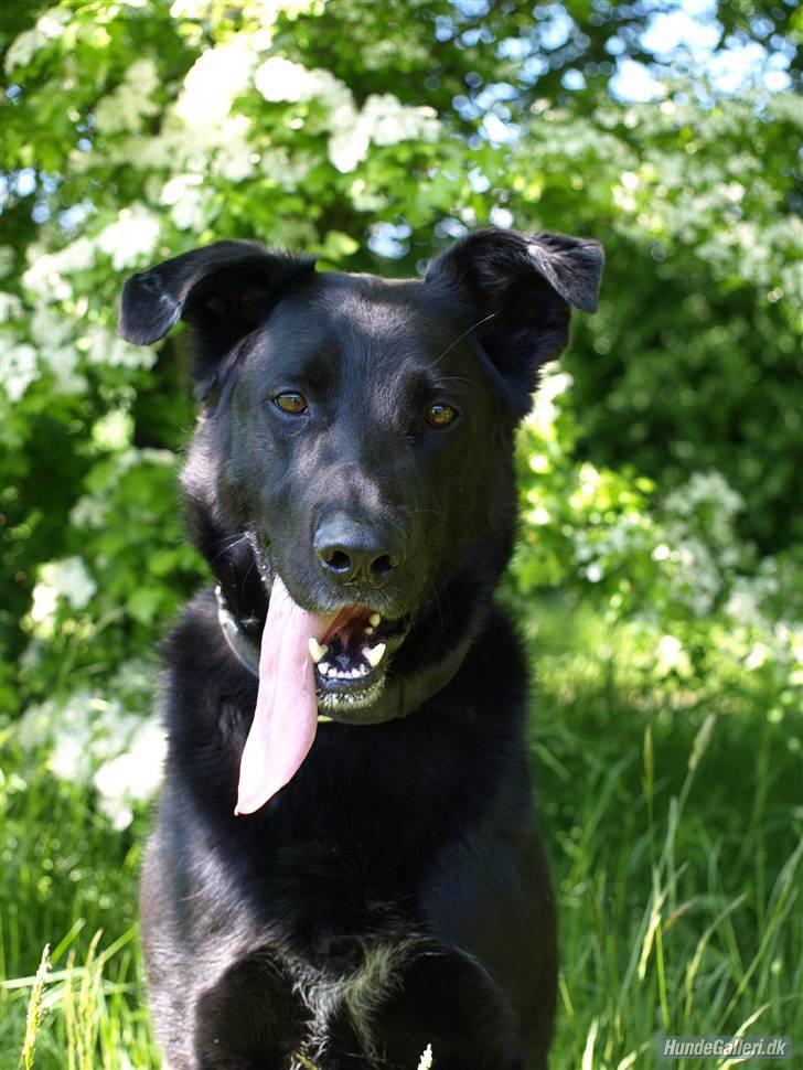 Blanding af racer Keiko R.I.P - Fordi Du har et kønt ansigt billede 7