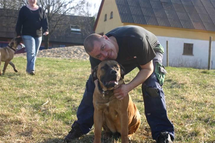 Boerboel RATHMANNS NUMBI billede 19