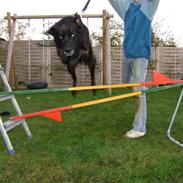 Blanding af racer Ricko