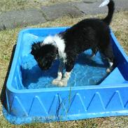 Blanding af racer Bounty 